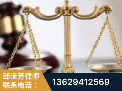 高密-委托诉讼代理人出庭